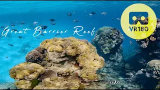 VR180 Virtual Dive Great Barrier Reef | Underwater 5.7K for Oculus Quest
