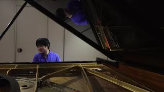 Japan's blind piano maestro plays it by ear