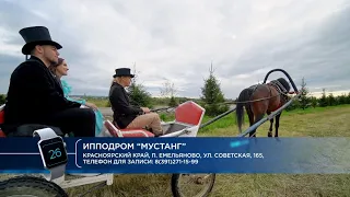 Ипподром "Мустанг" для всей семьи!