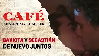 Sebastián le propone a Gaviota que se casen en el Eje Cafetero | Café, con aroma de mujer 1994