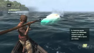 Assassin's Creed 4 Walkthrough - The White Whale