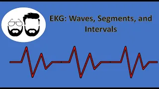 EKG Series: Waves, Segments, and Intervals