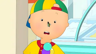 Caillou wird Gestochen! | Die Neuen Abenteuer von Caillou | Caillou auf Deutsch