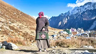 Langtang Valley Trek - Best Treks in the Himalayas of Nepal for 2024 | 4K |