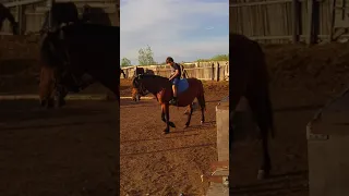 конный клуб Легенда нижневатовск