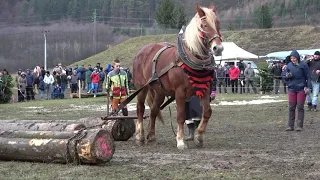 Furmanské preteky (Kľačianská podkova 2020)