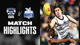 Geelong Cats v North Melbourne Highlights | Round 16, 2022 | AFL