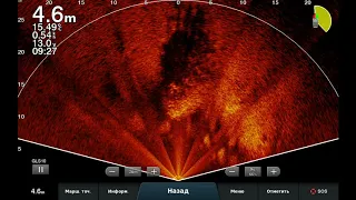 LiveScope ... хищник,нападает-стая врассыпную!