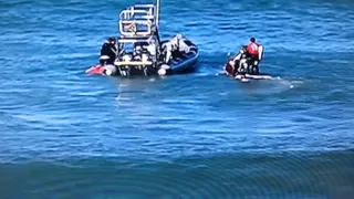 Mick Fanning attacked by Shark in 2015 WSL J-Bay Open Final