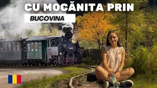 Cu Mocănița prin BUCOVINA + Mănăstirea Moldovița| Asta-i Romania🇷🇴