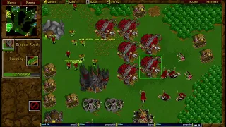 Warcraft 2  KPgldgrd 4v4