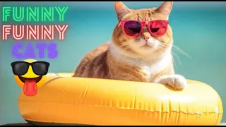 Funny Cats And Dogs Videos Try Not To Laugh 😺😍 Funny Videos Of Cats And Dogs 😹 Part 53