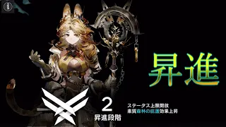 【アークナイツ Archknights】 クエルクス、昇進2へ SP回復だと…！？