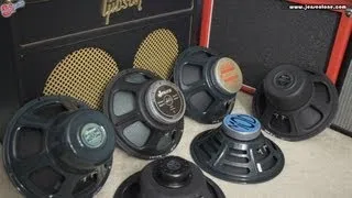 Jensen Speaker Shootout -DIRTY-: Blackbird, Tornado, P12N, C12N, Falcon, MOD 12-70 by Scott Sill