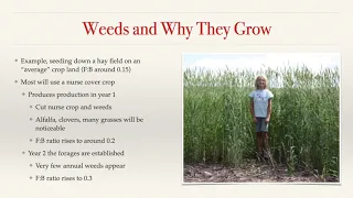 Understanding weeds from an organic perspective