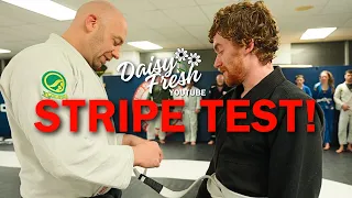Getting your first stripe at Daisy Fresh! BJJ Stripe Test