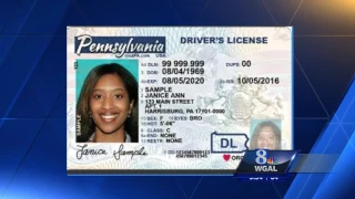 PA drivers licences get new look for security