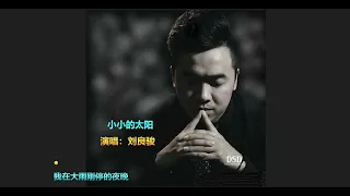 (  小小的太阳  )  -   演唱  :  刘良骏