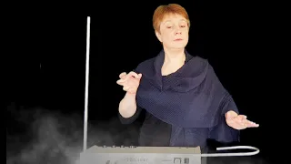 AVE MARIA by Schubert | Lydia Kavina - theremin