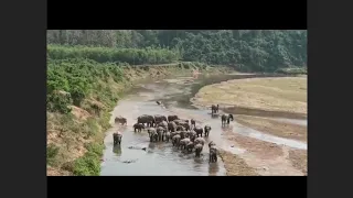 Gasuapara to Dalu Border Road Mongma banganan ansengpila