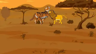 lion vs tiger animation #dc2 #drowingcartoon2