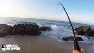 Hooking HUGE Mysterious fishes while beach fishing!