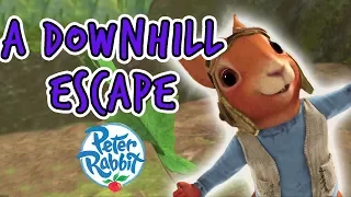 Peter Rabbit -  A Downhill Escape | 30+ minutes | Adventures with Peter Rabbit