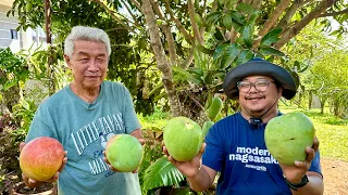 GIANT MANGO ORCHARD: BAKIT The BEST parin ang ORCHARD for RETIREMENT? Best Therapy / Medicine!
