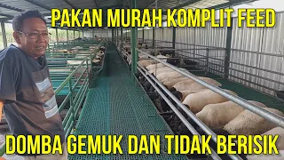 PAKAN DOMBA KOMPLIT FEED MURAH YANG BAGUS UNTUK BREEDING DOMBA | PETERNAKAN DOMBA AYANA FARM