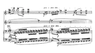 Alban Berg: Adagio for Violin, Clarinet, and Piano [Score Video]