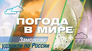 «Погода в мире» от 9 сентября 2023