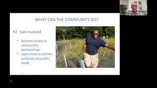 Monthly Webinar Series: Wetlands