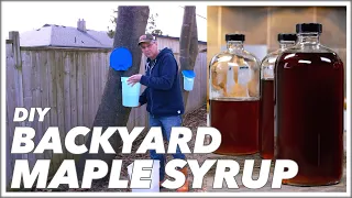 This Is How To Make Maple Syrup In Your Backyard