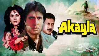 Akayla अकेला (1991): Amitabh Bachchan | Meenakshi Seshadri | Jackie Shroff | Bollywood Action Movie