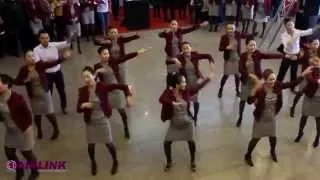 Airlink Flash Mob