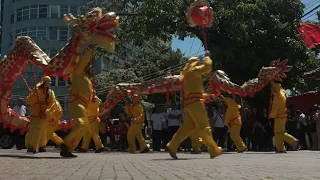 Brazil celebrates Chinese New Year