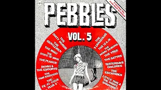 Pebbles Vol. 5 "17 Original '60s Punk Rock Classics"