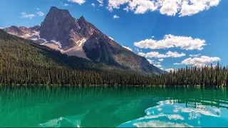 Canada's Unique Rainforest: The Wettest Region In North America | Full Documentary | TRACKS