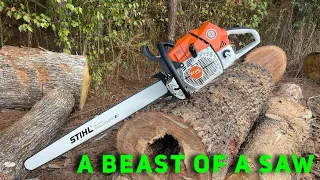 Stihl 881- the largest chainsaw they build at 122cc