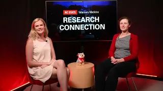 Research Connection: Forensic Science and Veterinary Medicine with Dr. Kelly Meiklejohn