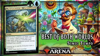 The Meta HATES This Deck.... And I LOVE It!!!