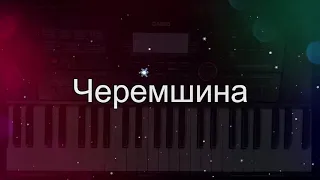 Демонстрация универсального стиля Черемшина . Стиль для синтезатора Casio CT-X3000-5000.