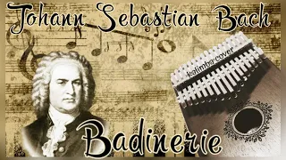 Johann Sebastian Bach - Badinerie | kalimba cover