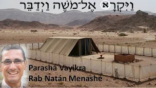 Parashat Vaikra El Shabbat Los 39 Trabajos Prohibidos rab natan menashe