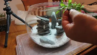 ZEN Fish Tank Aquarium Bowl Setup with Endler Guppies