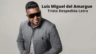 Luis Miguel del Amargue - Triste Despedida Letra