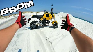 2022 HONDA GROM 500 MILE REVIEW!