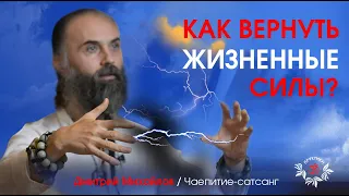 Как вернуть Жизненную Силу. Дмитрий Михайлов