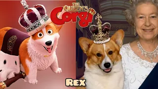 The Queen's Corgi Characters in Real Life 👑 | 👉@snthouse 👈