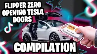 Flipper Zero VS. Tesla Compilation